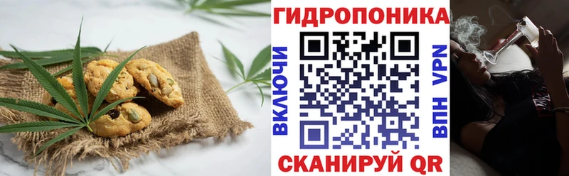Еда ТГК марихуана  продажа наркотиков  Андреаполь 