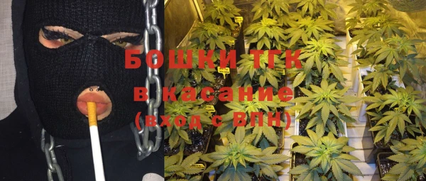 герыч Пересвет